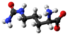 L-Citrulline là axit amin có nhiều trong dưa hấu. Trong cơ thể, L-citrulline là sản phẩm phụ của phản ứng tổng hợp NO bởi enzyme NOS từ cơ chất L-arginine